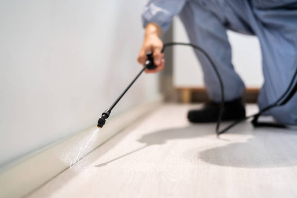 Licensed Rodent Control service in Henrietta, TX - Nex Pest Control