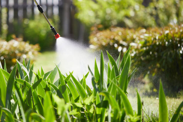 24/7 Emergency Rodent Control experts in Henrietta, TX