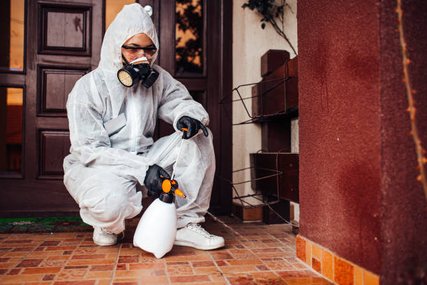 Reliable Rodent Control contractor in Henrietta, TX by Nex Pest Control